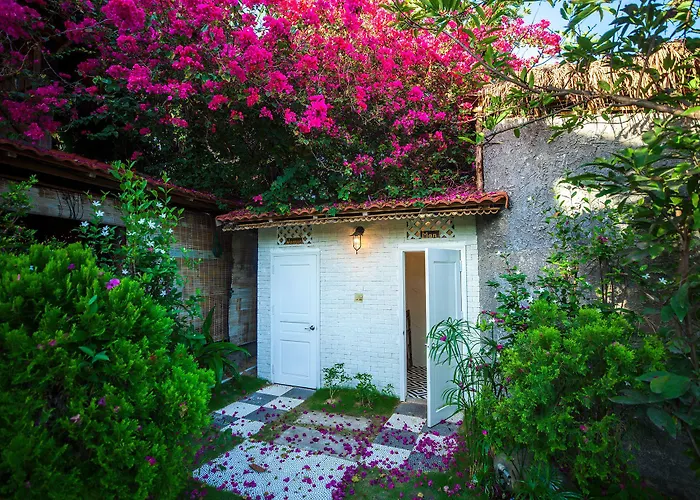 Resort Organic Phan Thiet